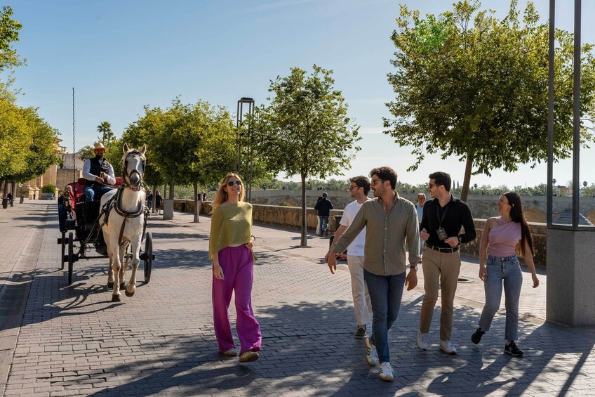 The Best of Córdoba from Madrid in One Day