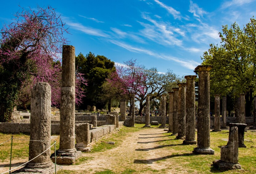 Ancient Olympia: Archaeological Site and Museum Entry Ticket