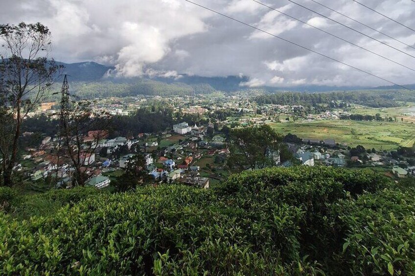 3 Hours Private Walking Tour in Nuwara Eliya with Pickup