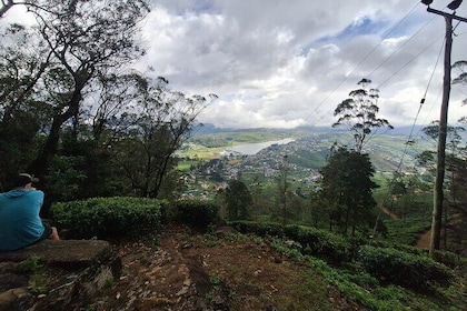 3 Hours Private Walking Tour in Nuwara Eliya with Pickup