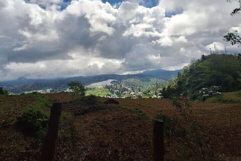 3 Hours Private Walking Tour in Nuwara Eliya with Pickup
