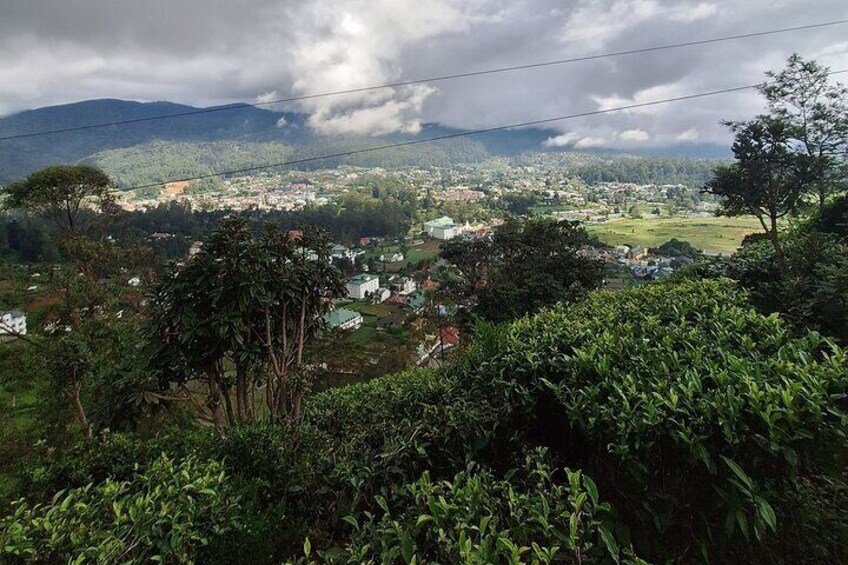 3 Hours Private Walking Tour in Nuwara Eliya with Pickup