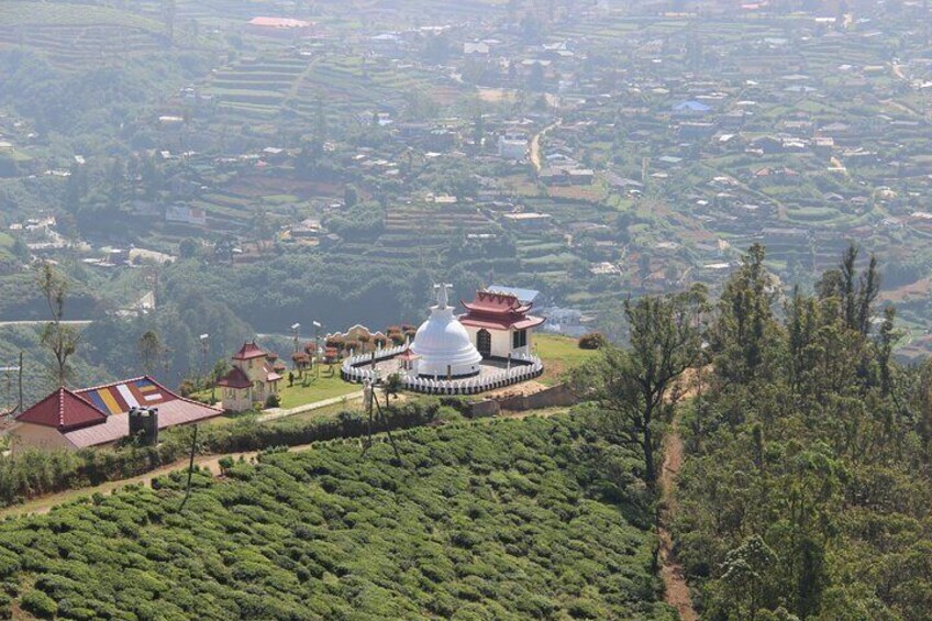 3 Hours Private Walking Tour in Nuwara Eliya with Pickup