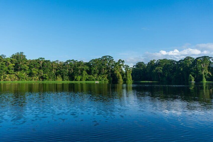 Tortuguero National Park Canoe Tour