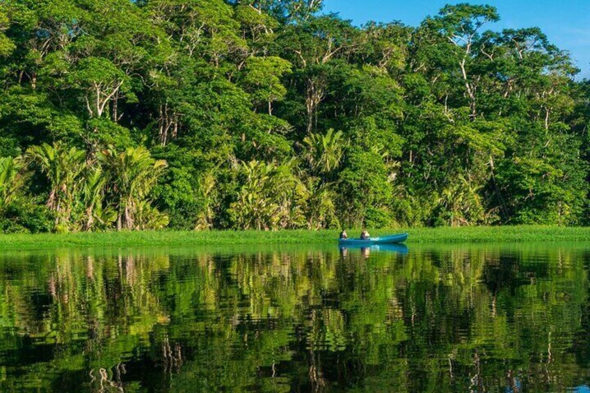 Tortuguero National Park Canoe Tour