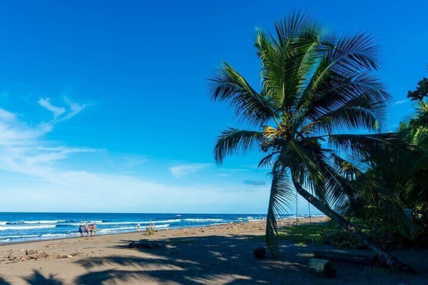 Tortuguero Adventure: Canoe tour, night tour and hill Tour