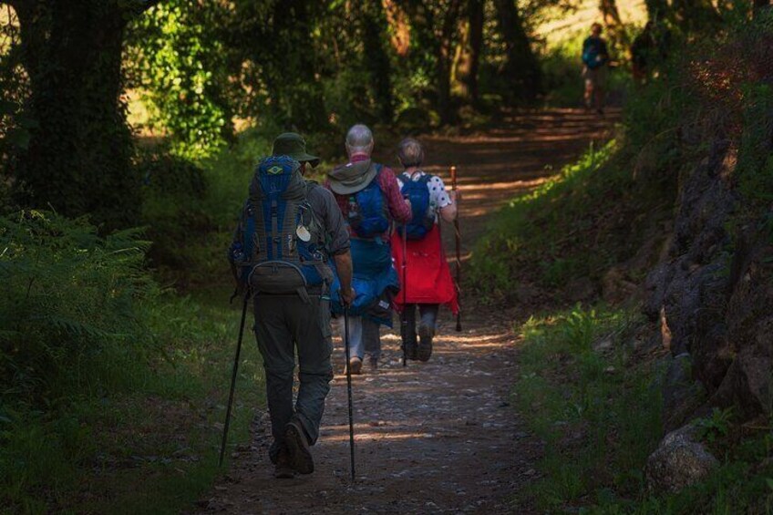 Tour 8 Days Camino de Santiago from Tui to Santiago de Compostela