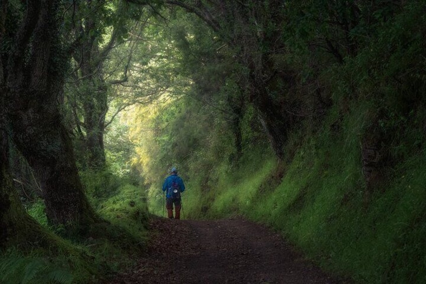 Camino de Santiago Portuguese from Tui to Santiago de Compostela