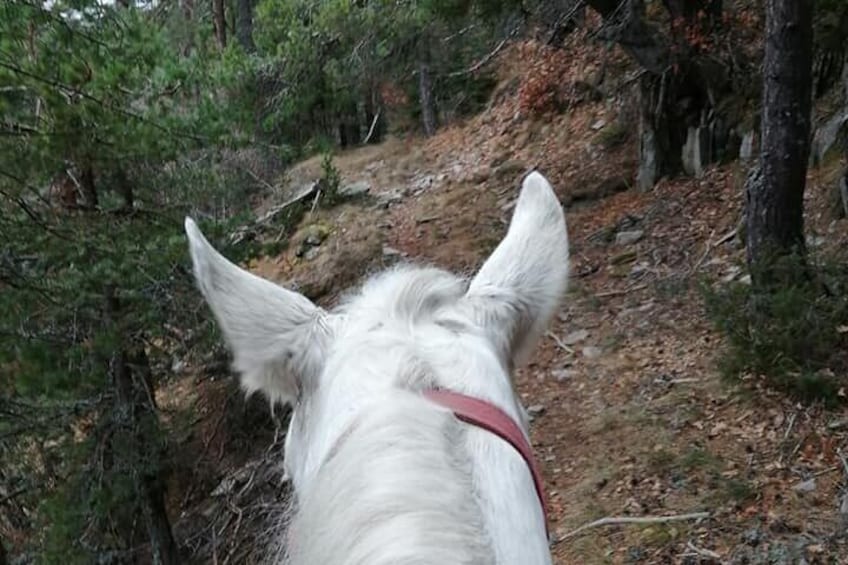 Private Horseback Riding Adventure to Red Rock in Smolyan