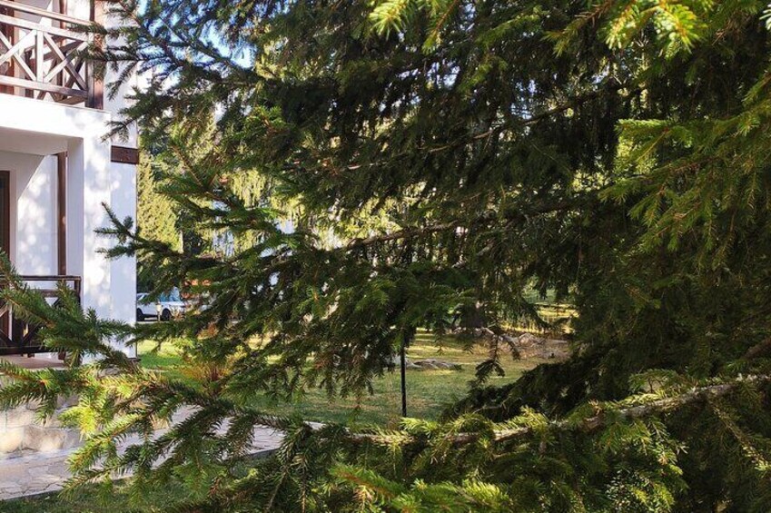 Private Horseback Riding Adventure to Red Rock in Smolyan