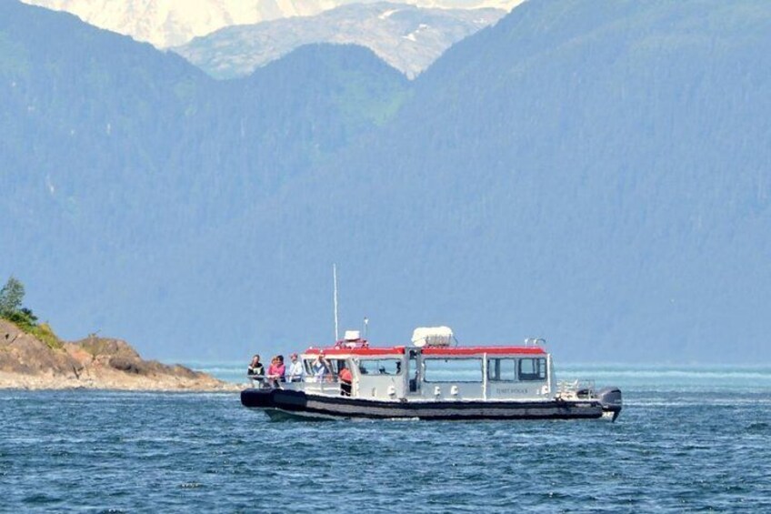 Best Whale Watching Boat in Alaska