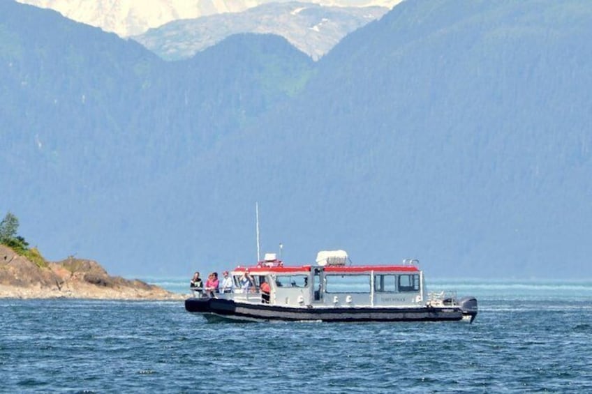 Best Whale Watching Boat in Alaska