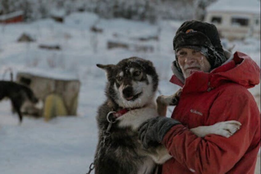 Dogsled Rides