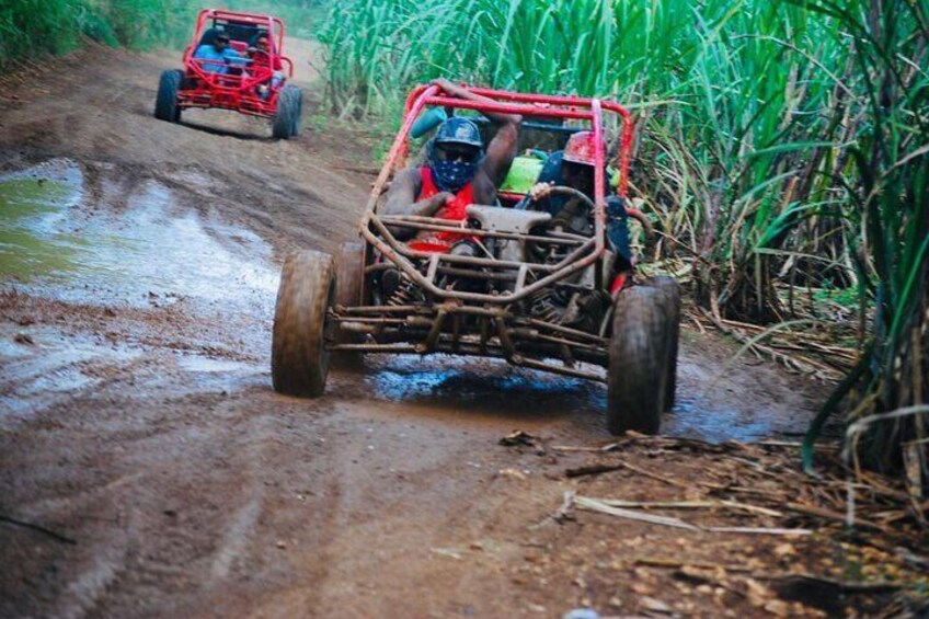 La Romana: Half-Day ATV or Buggy 4X4 from Bayahibe