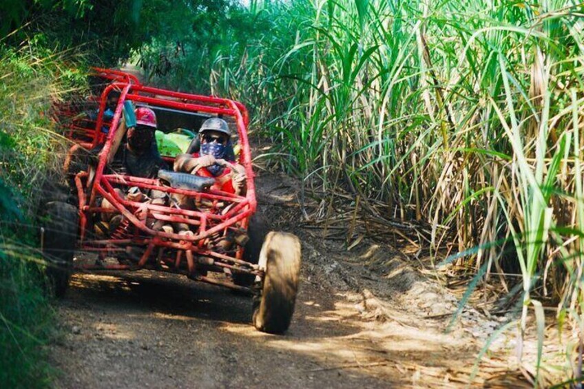 La Romana: Half-Day ATV or Buggy 4X4 from Bayahibe