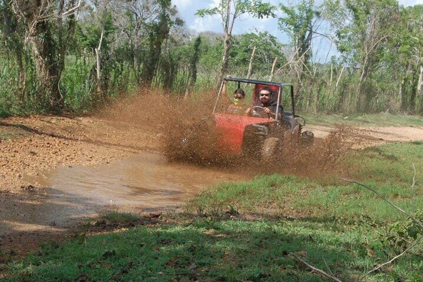 Buggy tour in Bayahibe La Romana