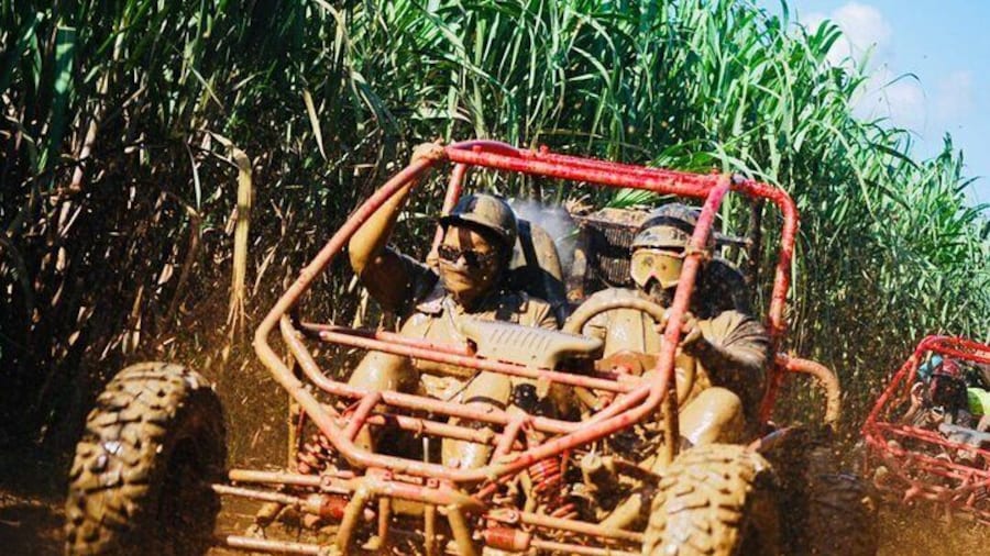 Half-Day ATV or Buggy 4X4 from Bayahibe - La Romana