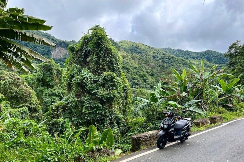 Scooter Rental San Juan Puerto Rico