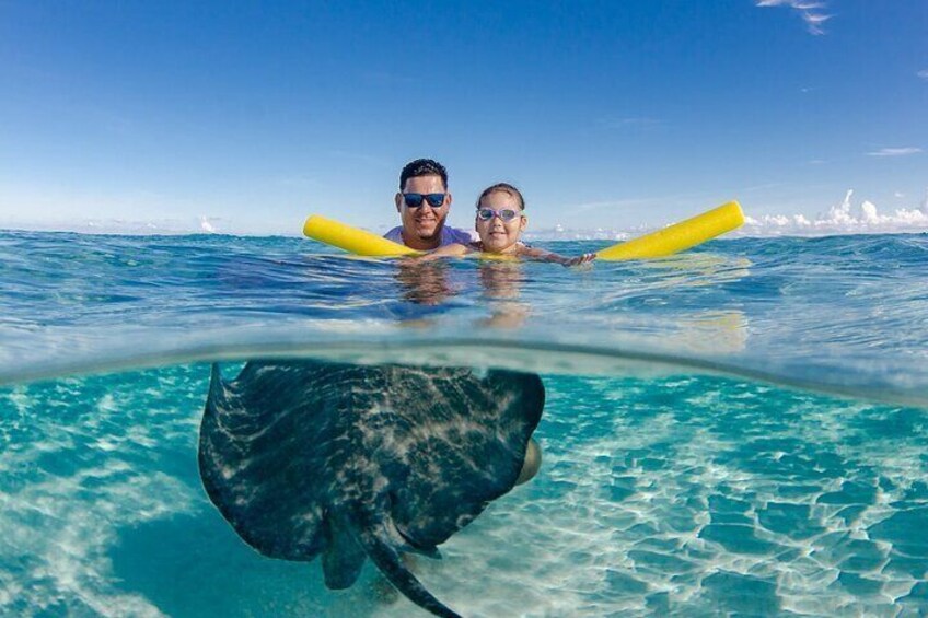 Stingray adventure