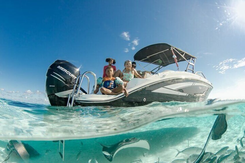 27' Sea Ray - "Frizby"