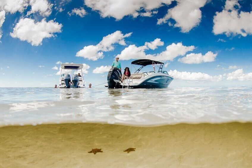 Starfish Beach