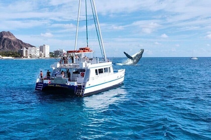 2 Hour Waikiki Whale Watching Cruise from Oahu