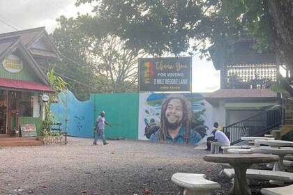 Private Bob Marley and Dunn’s River Falls Tour with Transport