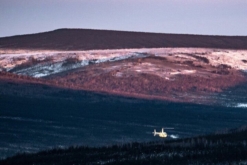 Reindeer and Heli Flightseeing Day Trip with Lunch