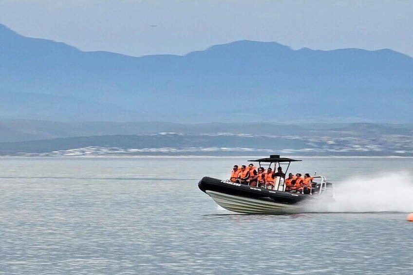 Mossel Bay Jet Boat Experience