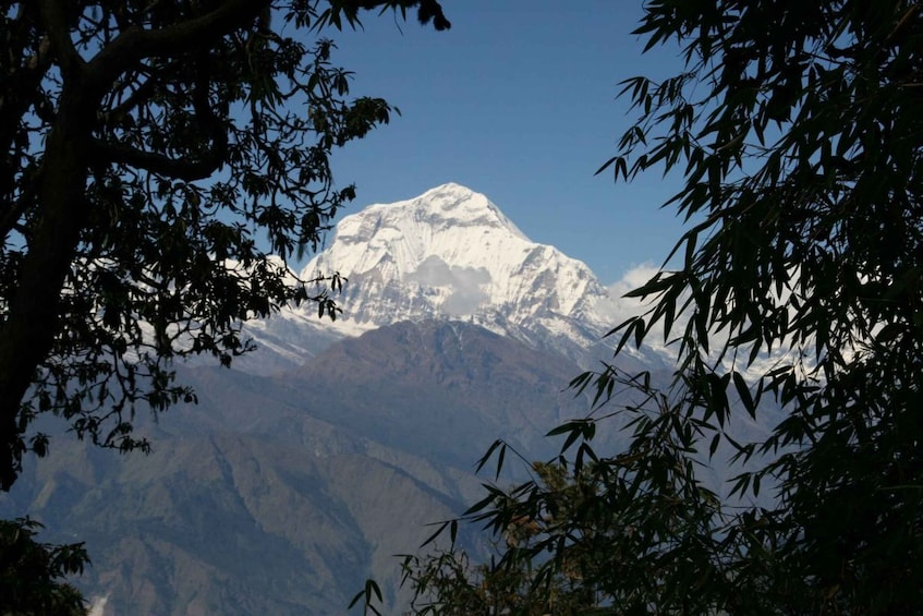 Picture 1 for Activity 14-Day Annapurna Comfort Trek with Rafting and Jungle Safari
