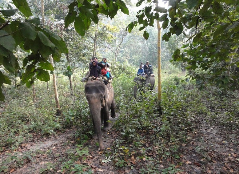 Picture 3 for Activity 14-Day Annapurna Comfort Trek with Rafting and Jungle Safari