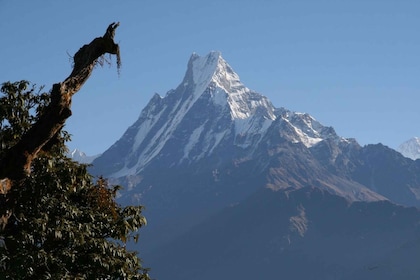 14-daagse Annapurna Comfort Trek met Rafting en Jungle Safari