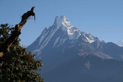 Caminata cómoda de 14 días por el Annapurna con rafting y safari por la jun...