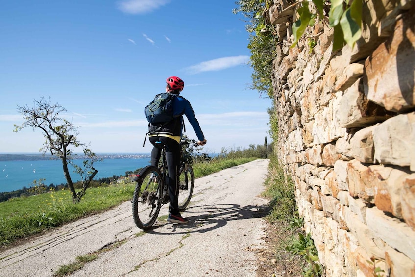 Picture 5 for Activity Slovenian coast: Koper, Izola, Piran - Parenzana e-bike