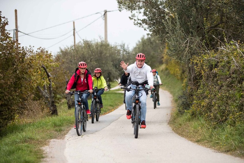 Picture 4 for Activity Slovenian coast: Koper, Izola, Piran - Parenzana e-bike