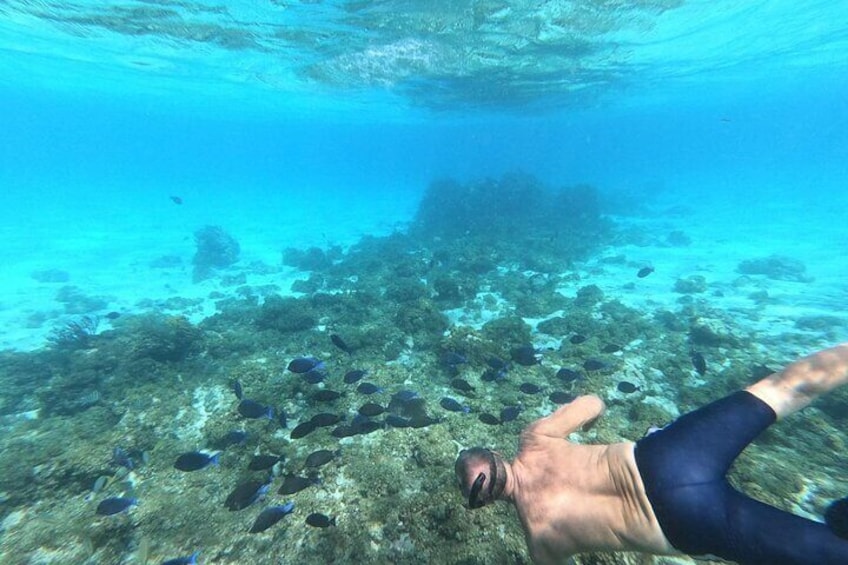 Snorkeling at Stingray City and Rum Point with Private Boat