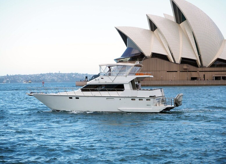 Picture 2 for Activity Sydney: Morning Cruise and Afternoon Panoramic City Tour