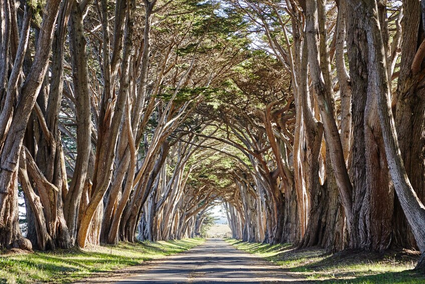 Point Reyes National Seashore Self-Guided Driving Tour