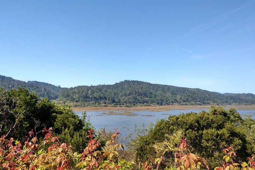 Point Reyes National Seashore Self-Guided Driving Tour