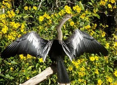 Wekiva River Kajak Ganztagestour