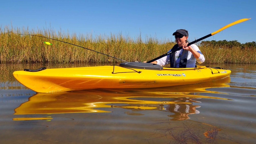 Wekiva River Kayak Full-Day Trip