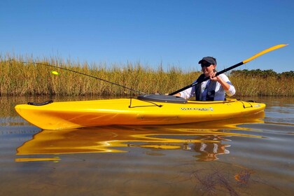 Excursión de día completo en kayak por el río Wekiva