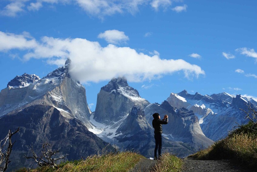 Picture 2 for Activity Torres del Paine Park Full-Day Tour from Puerto Natales