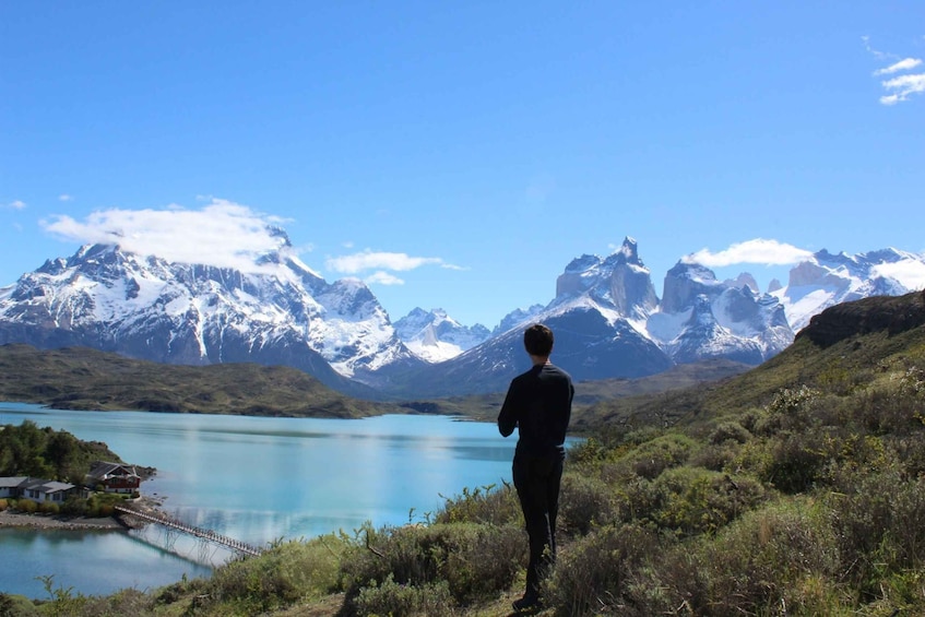 Picture 3 for Activity Torres del Paine Park Full-Day Tour from Puerto Natales