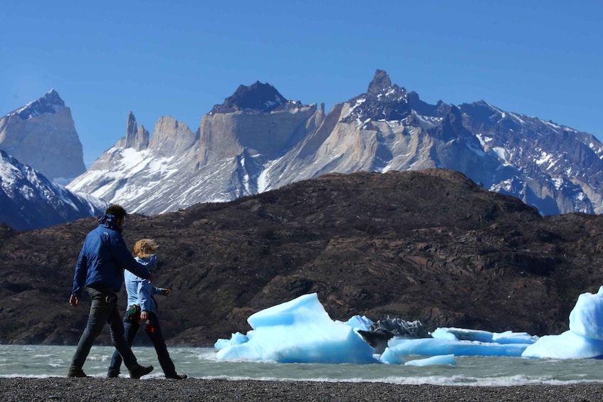 Picture 1 for Activity Torres del Paine Park Full-Day Tour from Puerto Natales