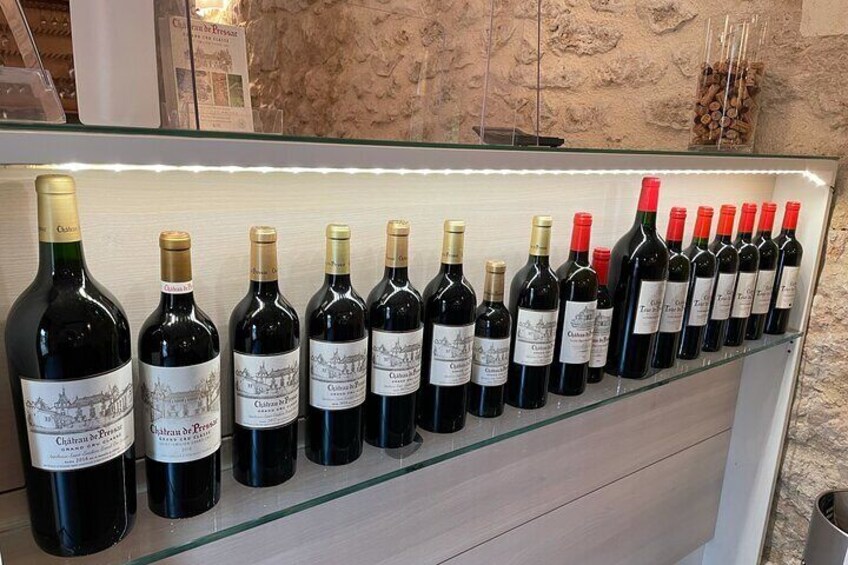 Private Day Tour to Saint-Emilion with Tasting