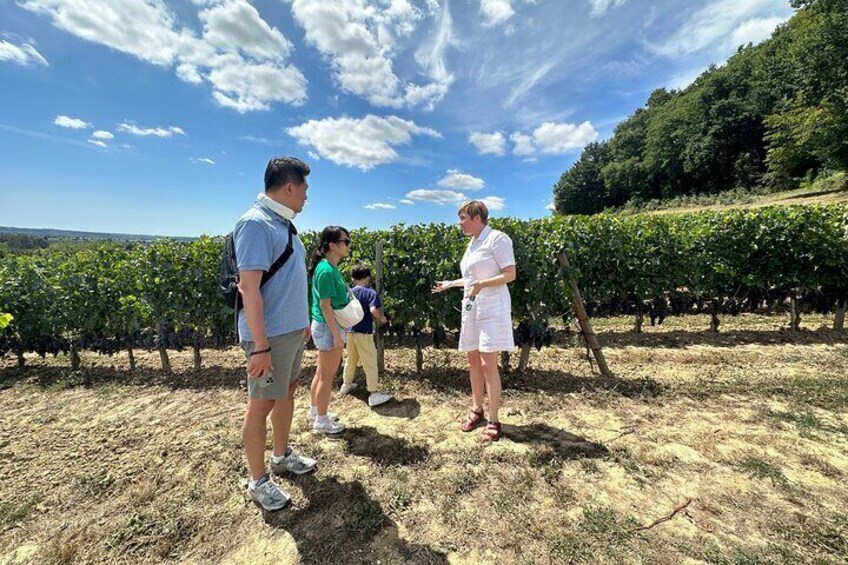 Private Day Tour to Saint-Emilion with Tasting