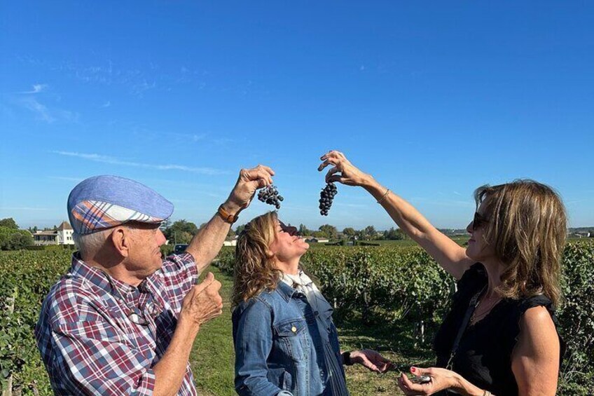 Private Day Tour to Saint-Emilion with Tasting