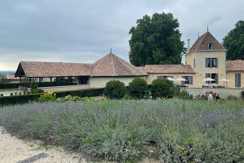 Private Day Tour to Saint-Emilion with Tasting