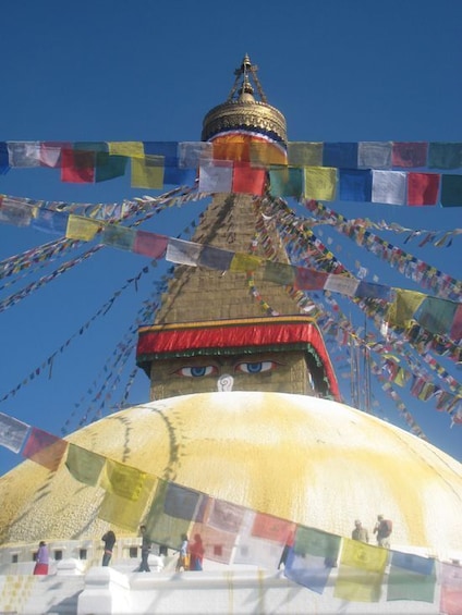 Picture 2 for Activity Naturally Nepal - 8 Day Tour